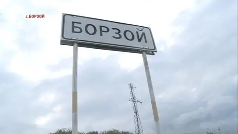 Борзой