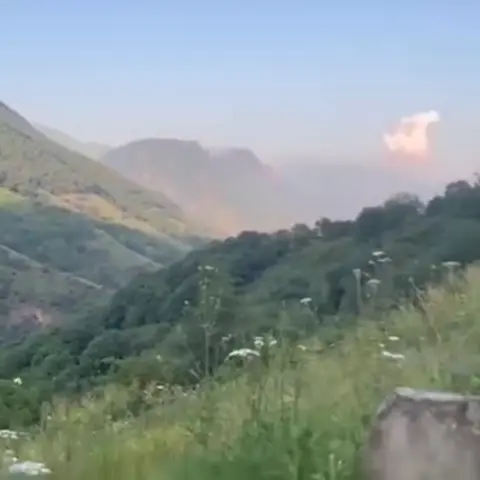 Сайра